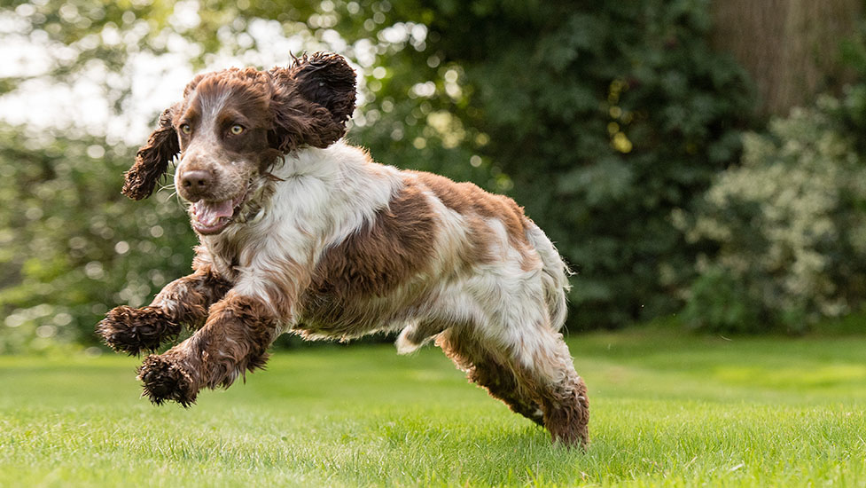 luca-running-977-550.jpg