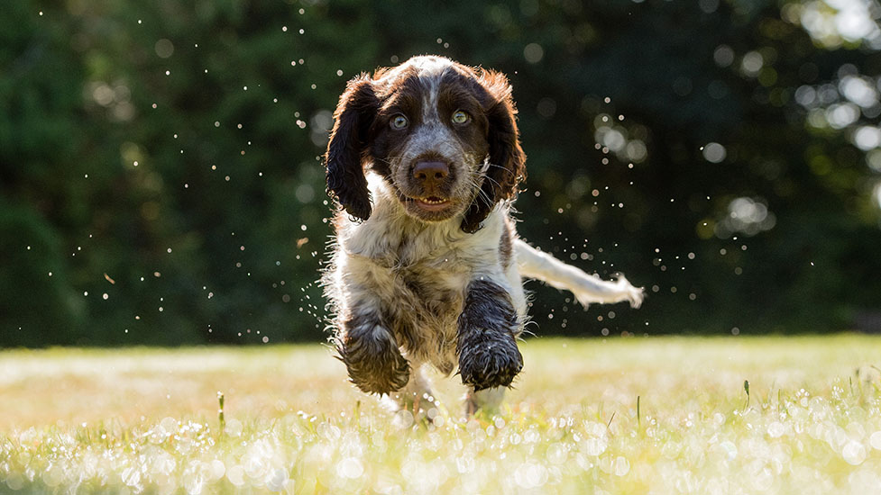 luca-running2-977-550.jpg