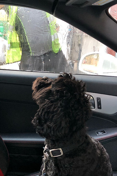marnie-carwash-460-690.jpg