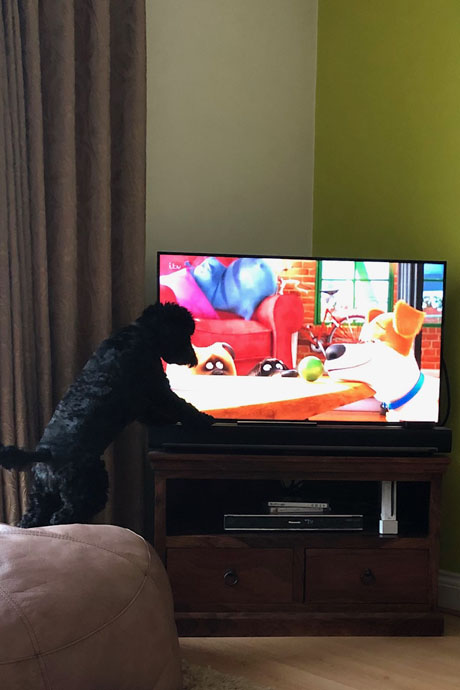 marnie-tv-460-690.jpg