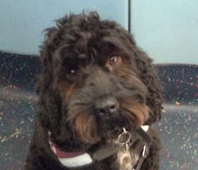 Marnie: Play, pals and practice