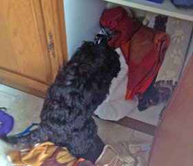 Marnie helps out