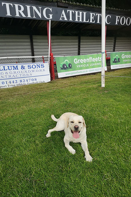 toby-tring-460-690.jpg