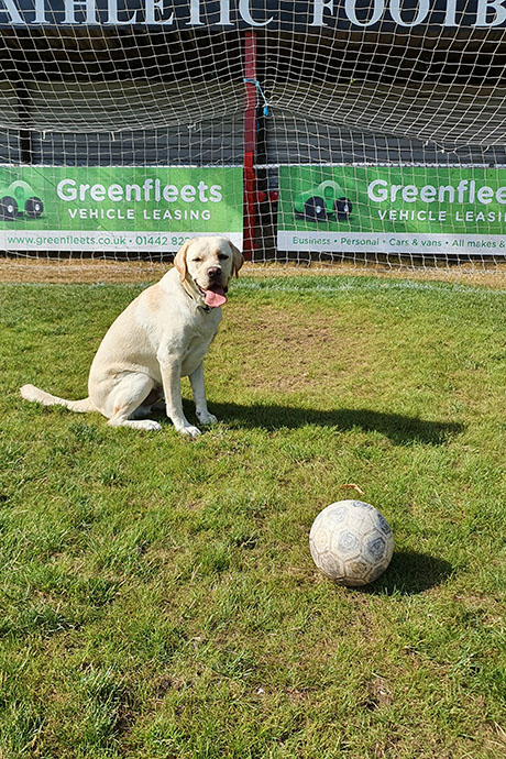 toby-tring2-460-690.jpg
