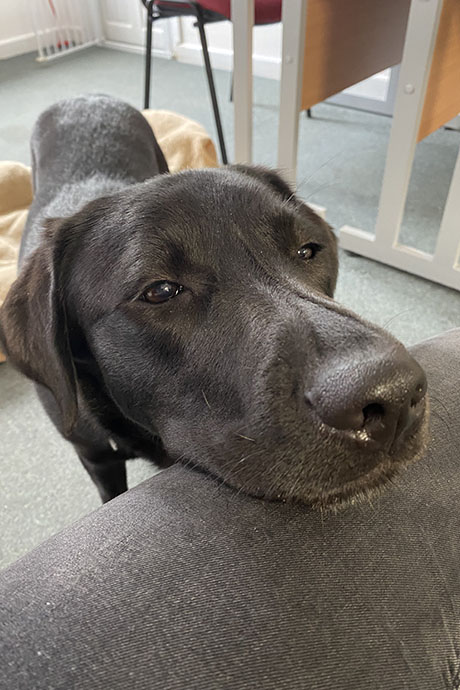 winnie-boop3-460-690.jpg
