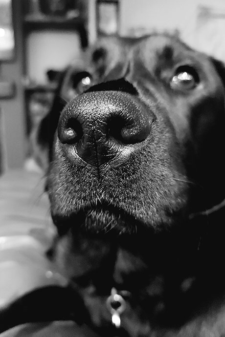 winnie-boop5-460-690.jpg