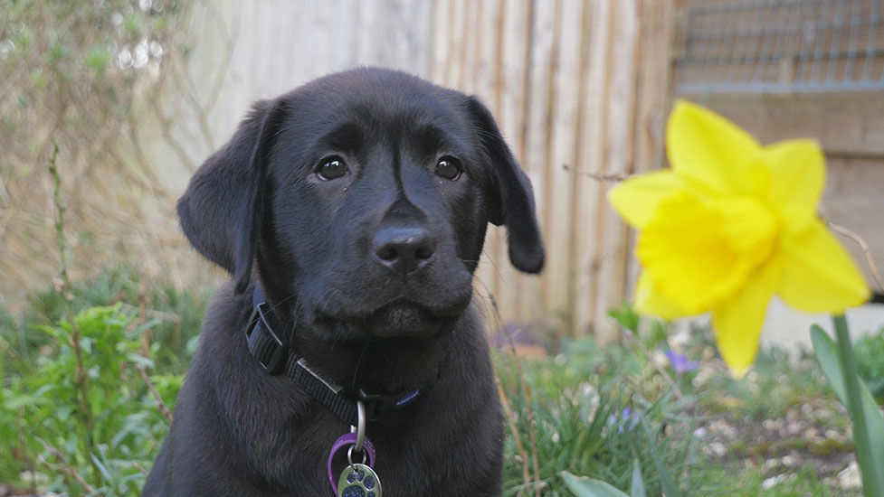 winnie-garden4-977-550.jpg