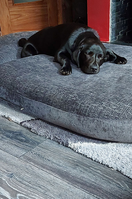 winnie-sleep1-460-690.jpg