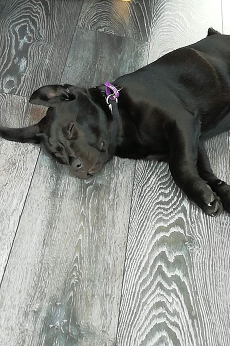 winnie-sleep2-460-690.jpg