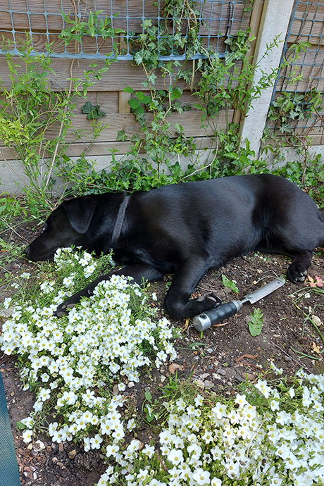 winnie-sleep4-460-690.jpg