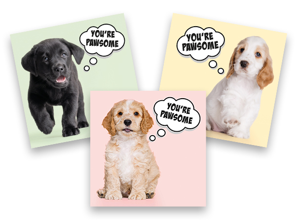 Mother's Day puppy cards with puppies on a background of pastel green, pink and yellow. Thought bubbles have the words You're Pawsome inside